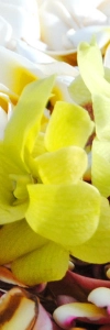 May Day is Lei Day in Maui