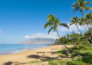 Kihei Bay Surf Kihei Bay Surf