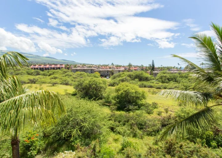 Maui Banyan | Maui Rental Group | A VTrips Experience Maui Banyan | Maui Rental Group | A VTrips Experience