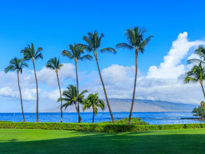 Wailea Rentals | Wailea Condos | Maui Rental Group Wailea Rentals | Wailea Condos | Maui Rental Group