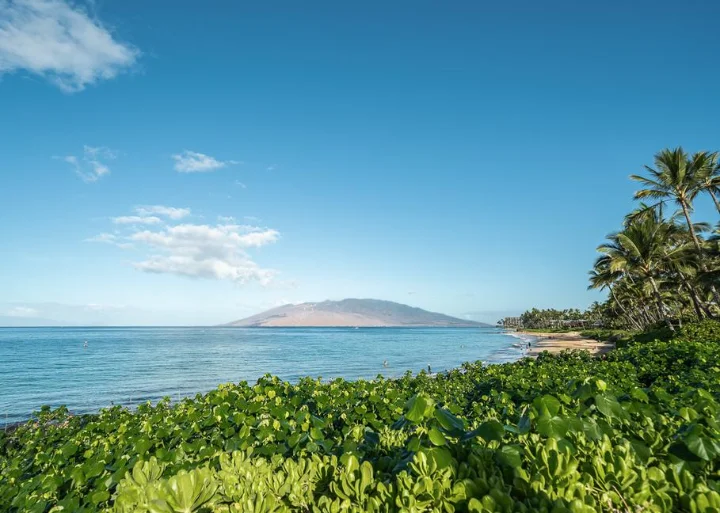 Wailea Ekahi Village | Maui Rental Group | A VTrips Experience Wailea Ekahi Village | Maui Rental Group | A VTrips Experience