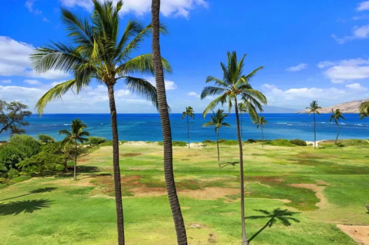 Maui Oceanfront Condo Rental | Maui Rental Group Maui Oceanfront Condo Rental | Maui Rental Group