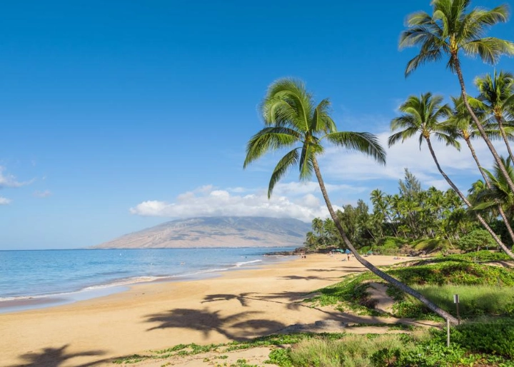 Kihei Bay Surf | Maui Rental Group | A Vtrips Experience