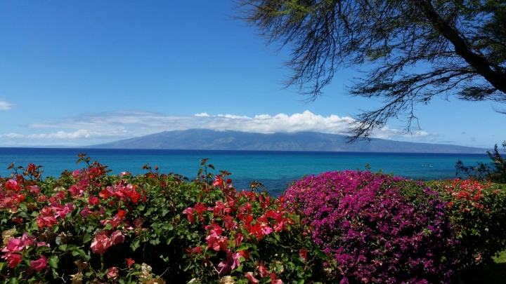 Lahaina Vacation Rentals | Maui Rental Group | A VTrips Experience