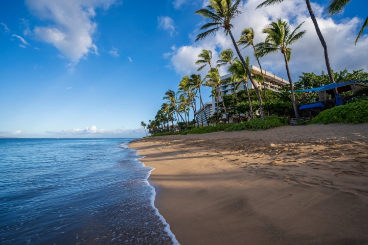 Lahaina Vacation Rentals | Maui Rental Group | A VTrips Experience